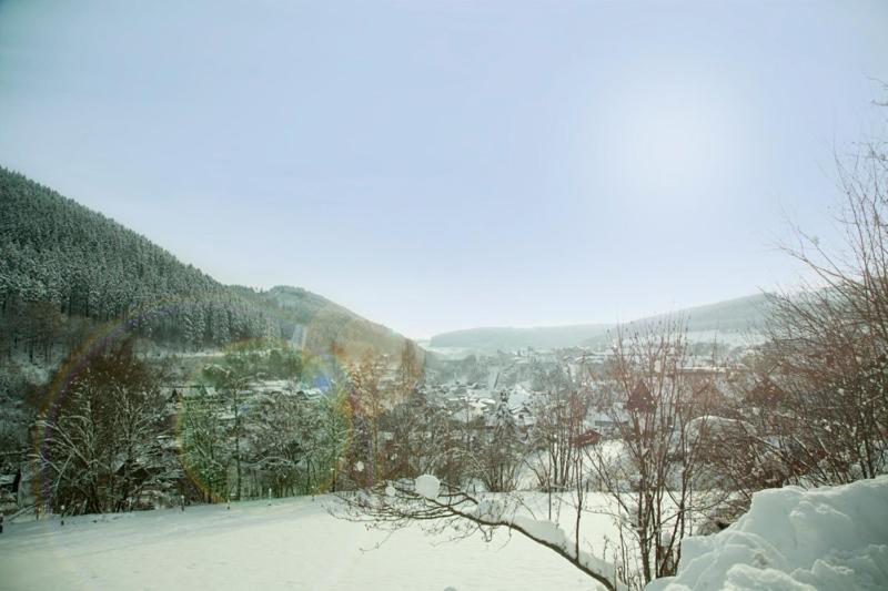 Haus Alexandra Inkl Meinecard Plus Willingen  Exterior foto
